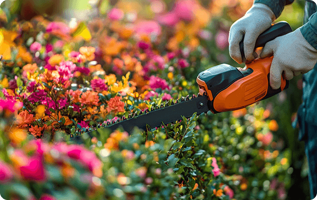 year-round garden care plan